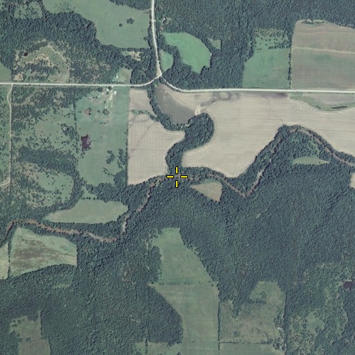 Aerial/Satellite Image of Irish Creek, KS
