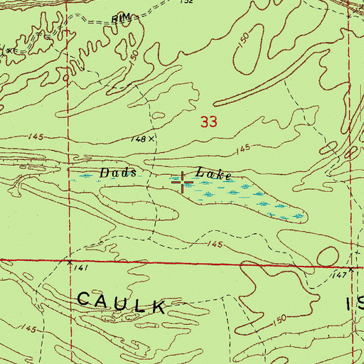 Topographic Map of Dads Lake, AR