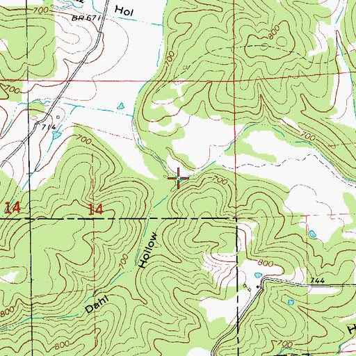 Topographic Map of Dahl Hollow, AR