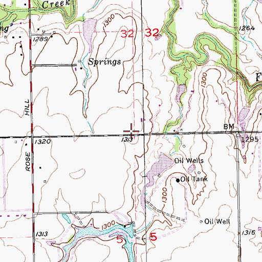 Topographic Map of Rose School (historical), KS