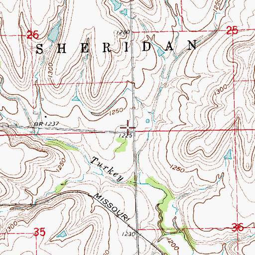 Topographic Map of Willow Branch School (historical), KS