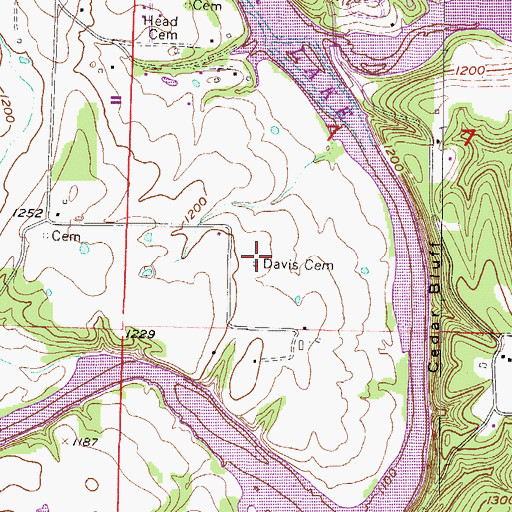 Topographic Map of Davis Cemetery, AR