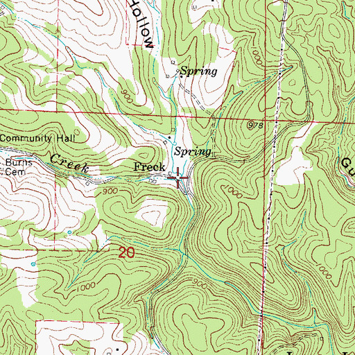 Topographic Map of Davis Hollow, AR