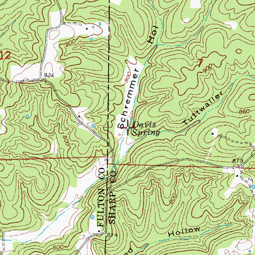 Topographic Map of Davis Spring, AR