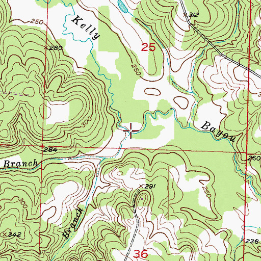 Topographic Map of Day Branch, AR