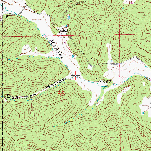 Topographic Map of Deadman Hollow, AR