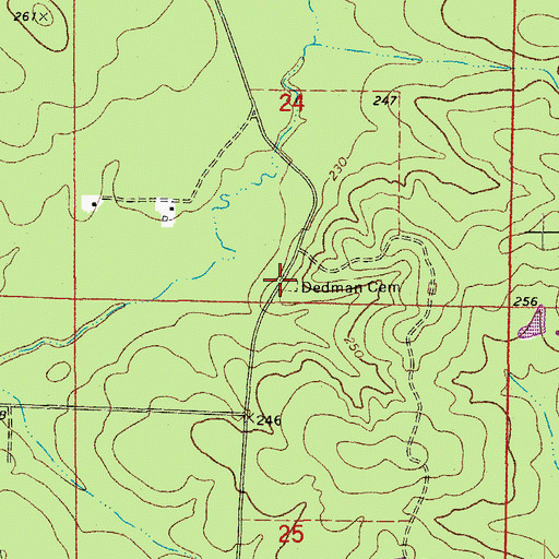 Topographic Map of Dedman Cemetery, AR