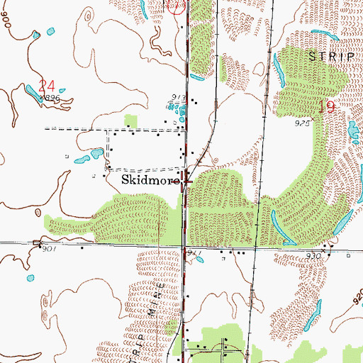 Topographic Map of Skidmore, KS