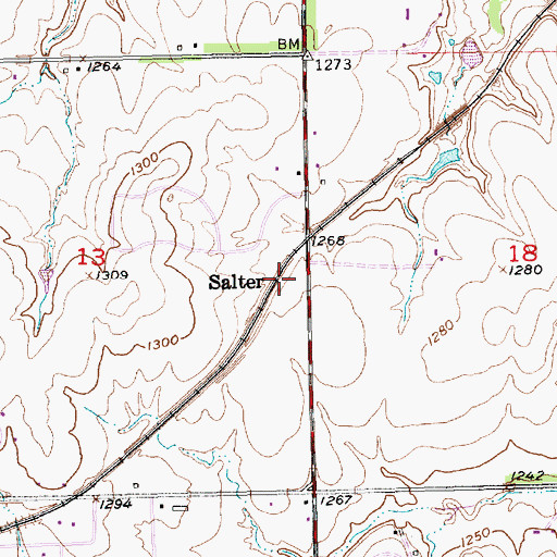 Topographic Map of Salter, KS