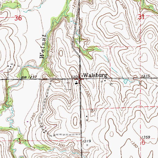 Topographic Map of Walsburg, KS