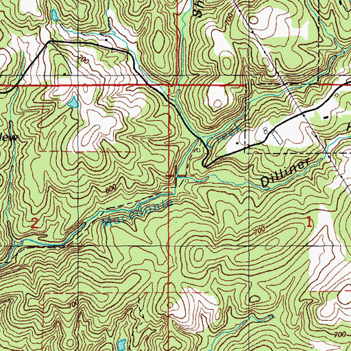 Topographic Map of Dilliner Hollow, AR