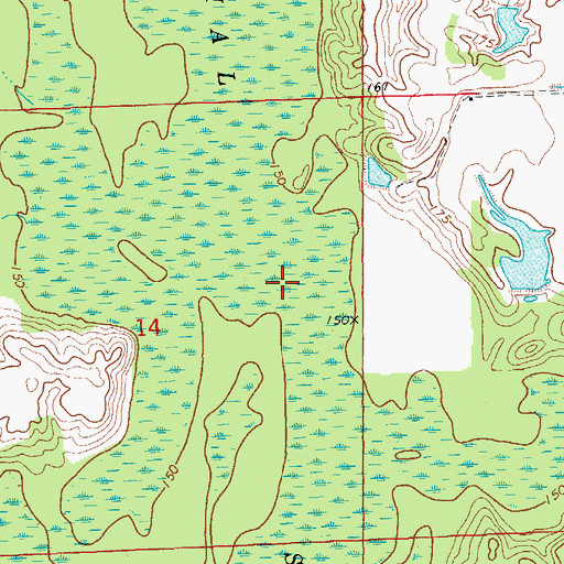 Topographic Map of Dismal Swamp, AR