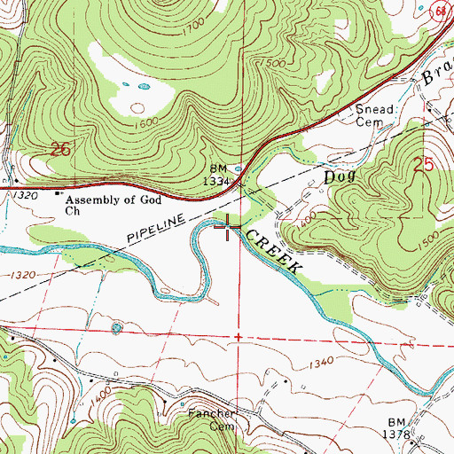 Topographic Map of Dog Branch, AR
