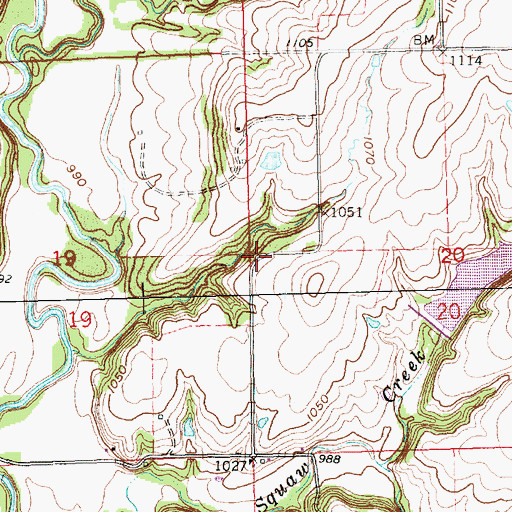 Topographic Map of Township of Caneyville, KS