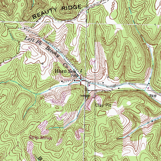 Topographic Map of Left Fork Beechy Creek, KY