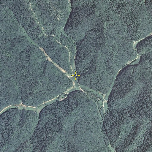 Aerial/Satellite Image of Negro Fork, KY