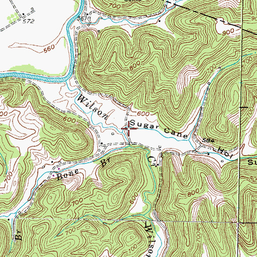 Topographic Map of Sugar Cane Hollow, KY