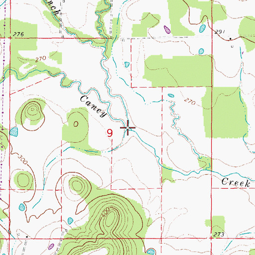 Topographic Map of Double Branch, AR