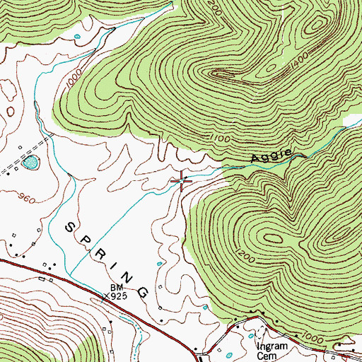 Topographic Map of Aggie Hollow, KY