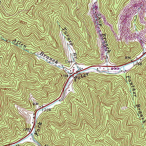 Topographic Map of Allen Branch, KY