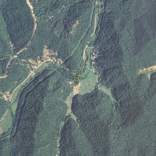 Aerial/Satellite Image of Allen Branch, KY