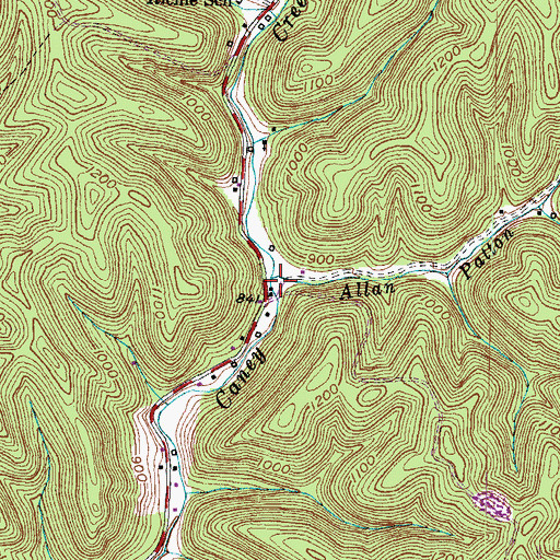Topographic Map of Allen Patton Branch, KY