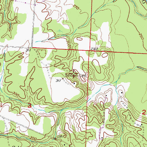 Topographic Map of Dowden Cemetery, AR