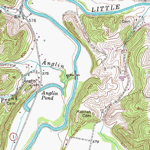 Topographic Map of Anglin Branch, KY