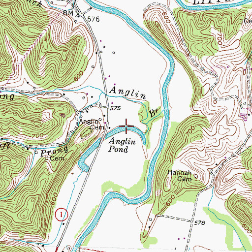 Topographic Map of Anglin Pond, KY