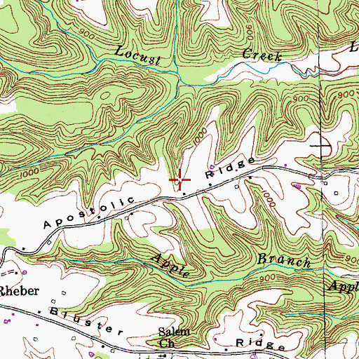 Topographic Map of Apostolic Ridge, KY