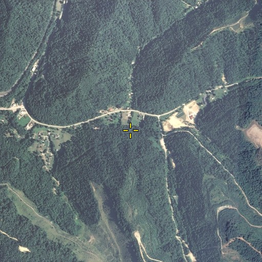 Aerial/Satellite Image of Appletree Branch, KY
