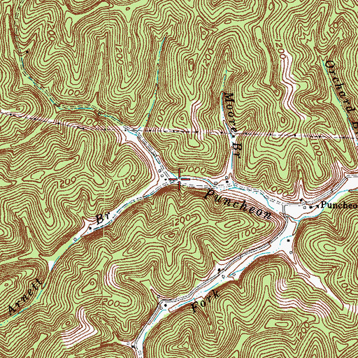 Topographic Map of Arnett Branch, KY