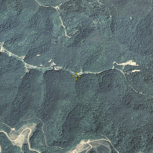 Aerial/Satellite Image of Ashlog Branch, KY