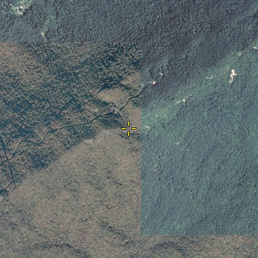 Aerial/Satellite Image of Austin Gap, KY