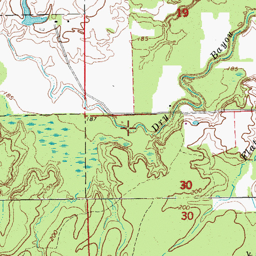 Topographic Map of Dry Bayou, AR