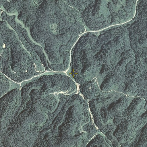 Aerial/Satellite Image of Back Branch, KY