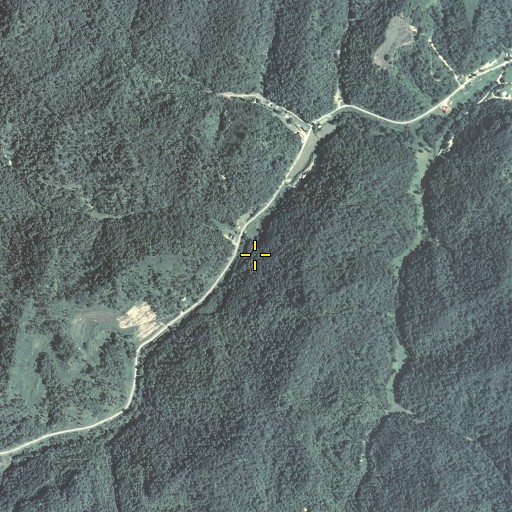 Aerial/Satellite Image of Back Branch, KY