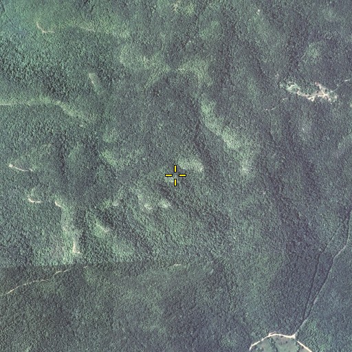Aerial/Satellite Image of Backbone Ridge, KY