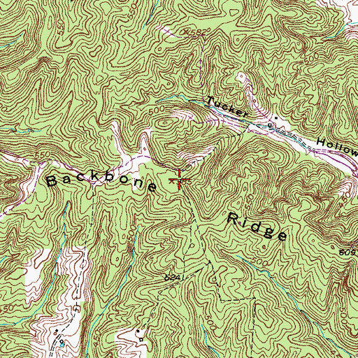 Topographic Map of Backbone Ridge, KY