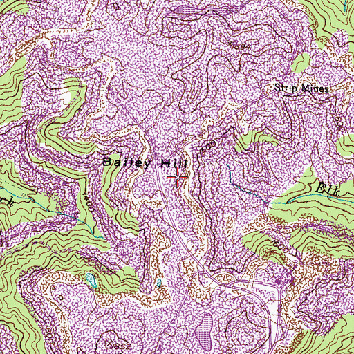 Topographic Map of Bailey Hill, KY