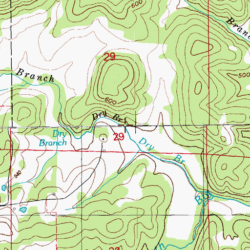 Topographic Map of Dry Branch, AR