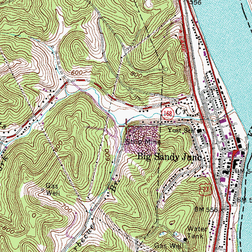 Topographic Map of Barbecue Branch, KY