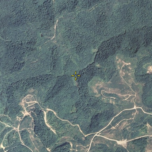 Aerial/Satellite Image of Barkcamp Branch, KY