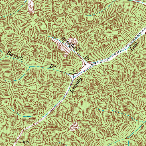 Topographic Map of Barrett Branch, KY
