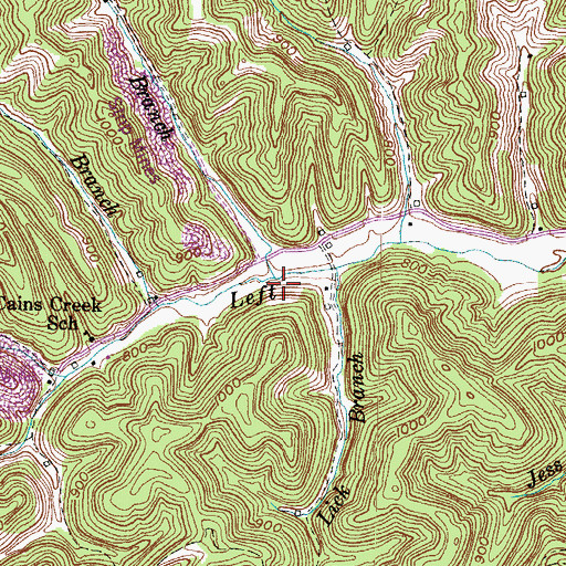 Topographic Map of Bays Branch, KY