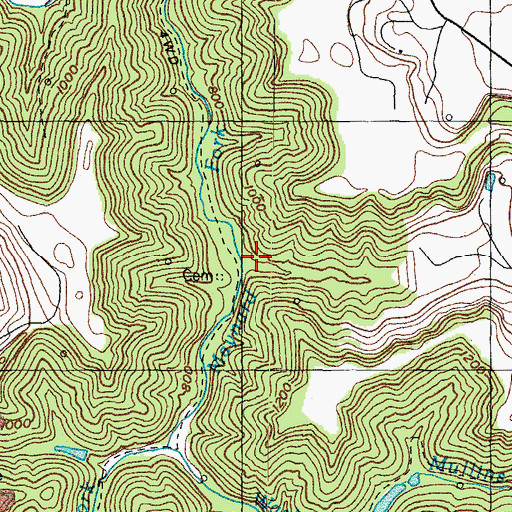 Topographic Map of Bear Branch, KY