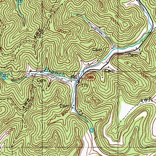 Topographic Map of Bear Branch, KY