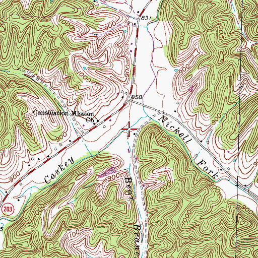 Topographic Map of Bear Branch, KY