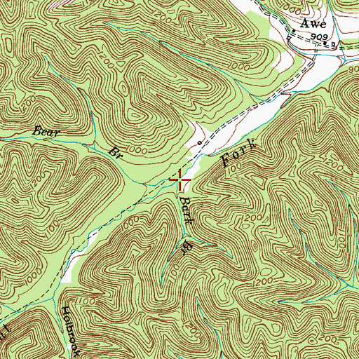 Topographic Map of Bear Branch, KY