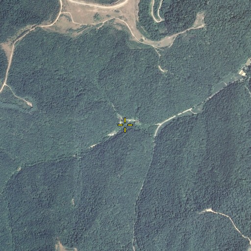 Aerial/Satellite Image of Bear Fork, KY